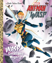 Load image into Gallery viewer, Ant-Man + Wasp:HC: LGB