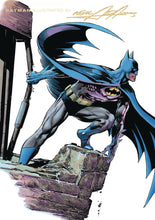 Load image into Gallery viewer, Batman:TPB: By Neal Adams Book 3