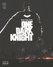 Batman One Dark Knight:TPB