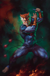 Thundercats #4 Cover S 25 Copy Variant Edition Parrillo Virgin