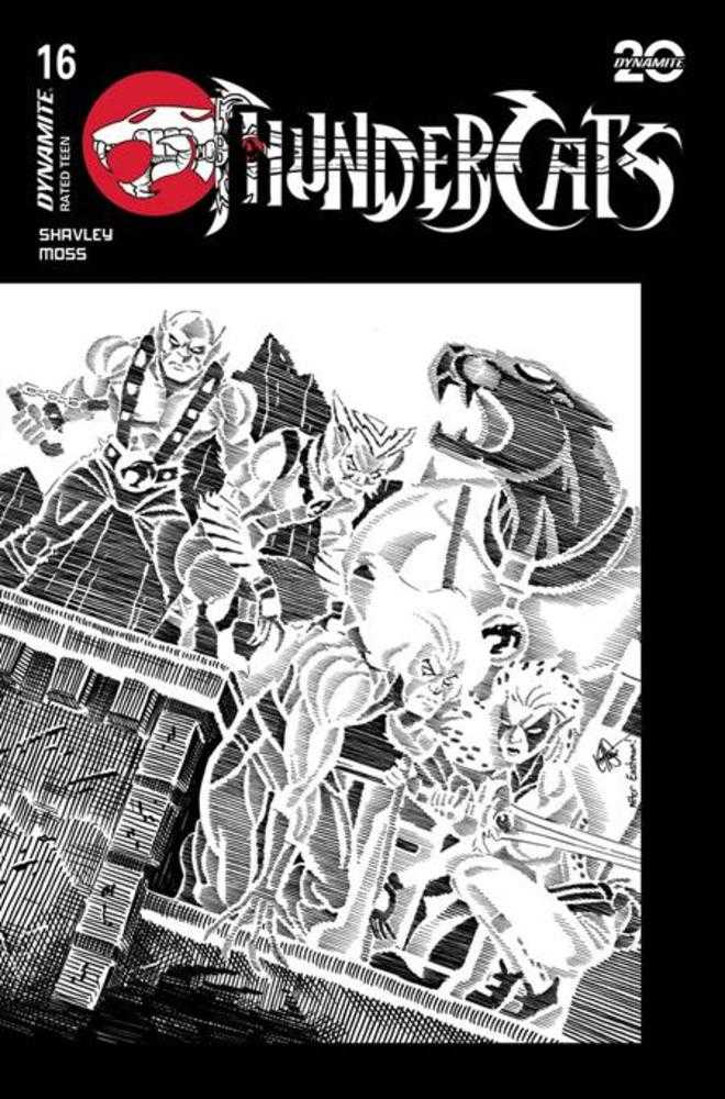 Thundercats #16 Cover T Inc 1:20 Teenage Mutant Ninja Turtles Homage Ken Haeser Line Art Variant