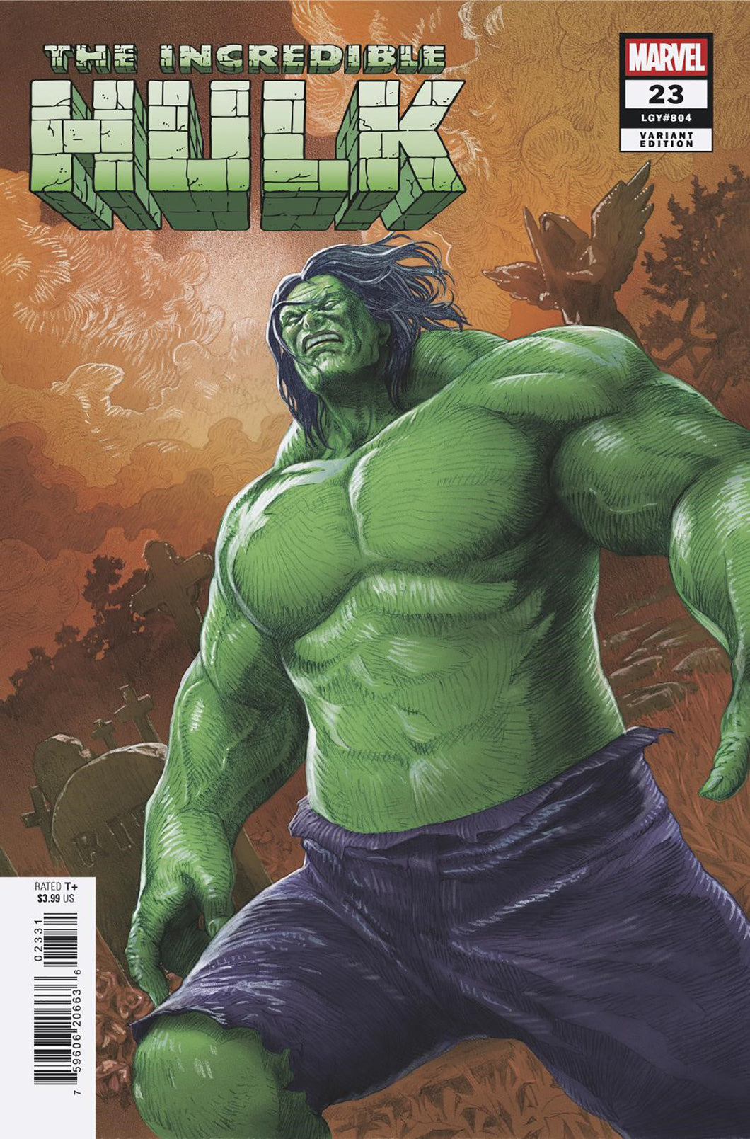 Incredible Hulk #23 Mitsuhiro Arita Variant