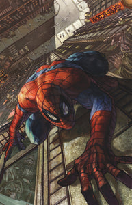 Amazing Spider Man #12 Simone Bianchi Full Art Variant
