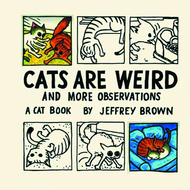 Cats Are Weird + More Obs:HGN: