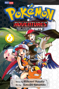 Pokemon:GN: Adventures B&W 2