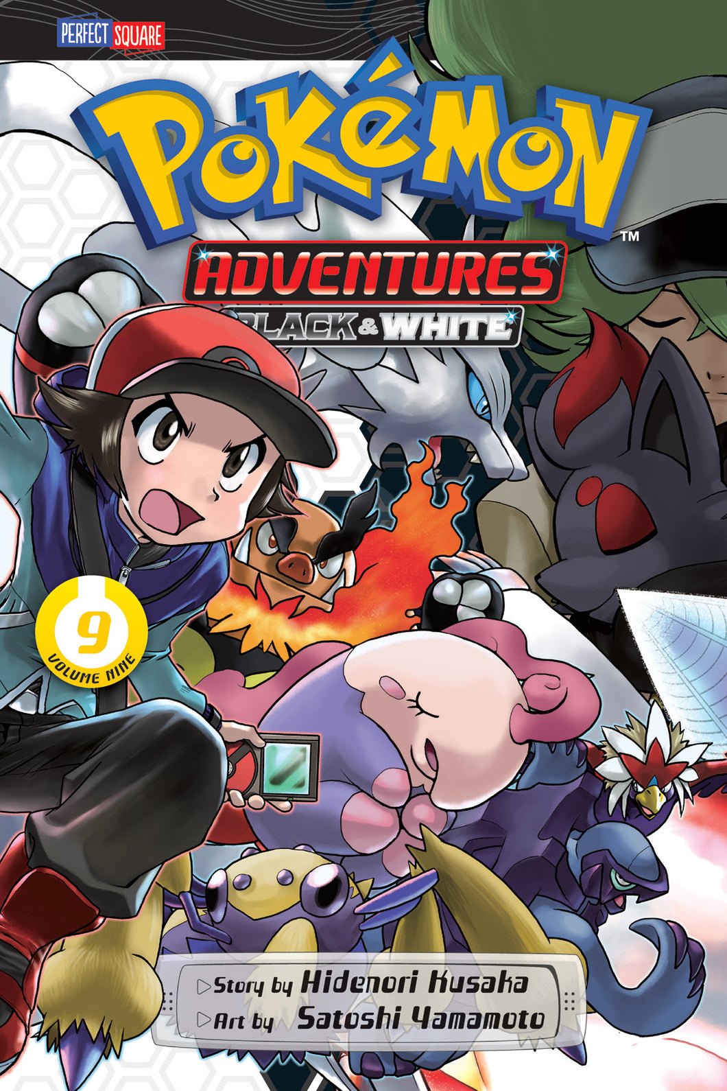 Pokemon Adv Black + White 9