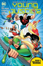 Load image into Gallery viewer, Young Justice the Animated Ser
