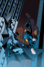 Load image into Gallery viewer, Superman/Batman: Omnibus:HC: 1
