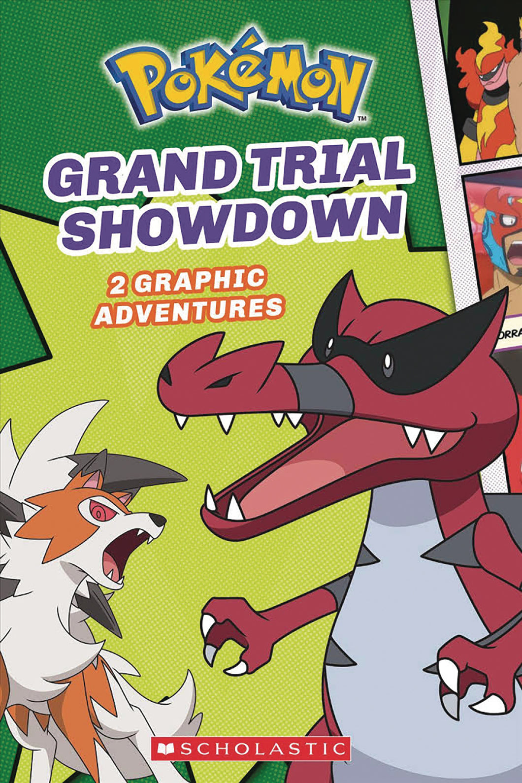 Pokemon Graphic Coll:HGN:02 Gr
