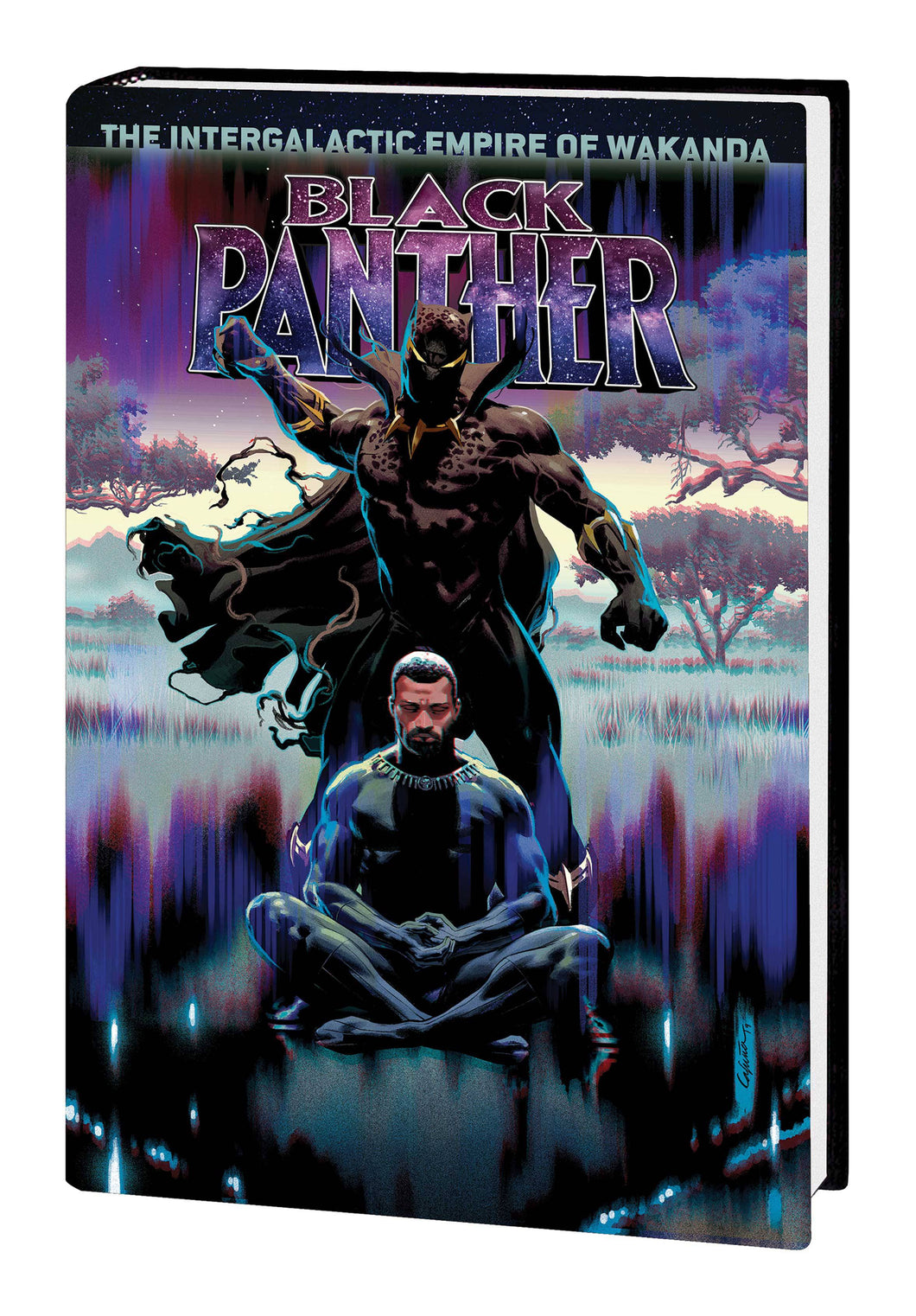 Black Panther:HC: 4 Inter